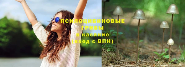тгк Алексин