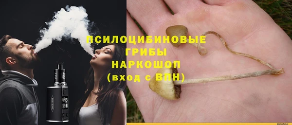 прущие грибы Алексеевка