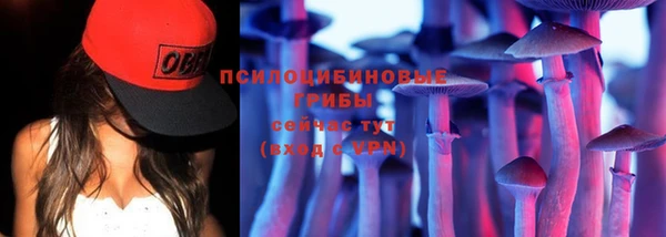 mdpv Заволжск