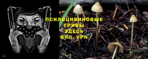 героин Алзамай