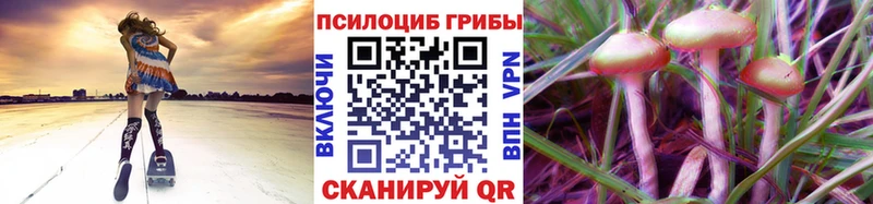 Псилоцибиновые грибы GOLDEN TEACHER  купить   Хотьково 