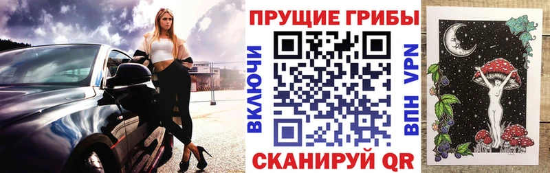 Галлюциногенные грибы Psilocybine cubensis Хотьково